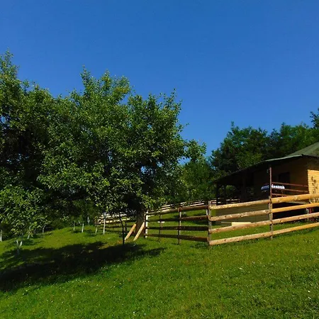 فوريست لودج أون ذا بيراميد