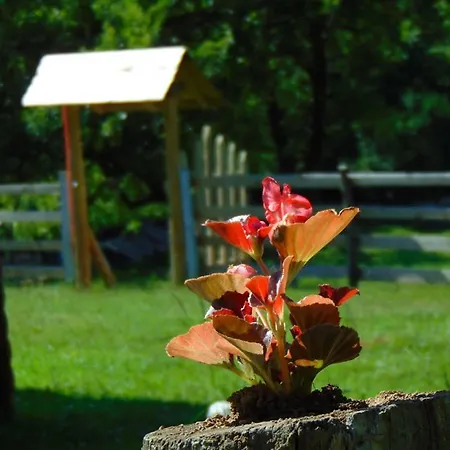 بيت خشبي فوريست لودج أون ذا بيراميد فيسوكو