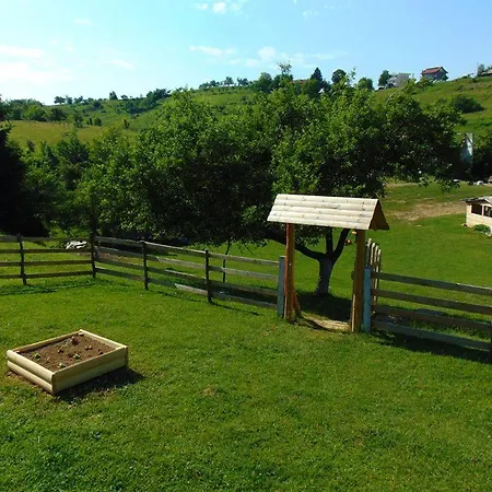 Lodge Forest On The Pyramid *