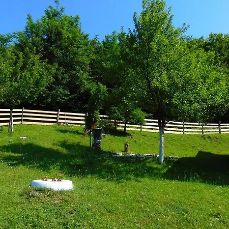 فوريست لودج أون ذا بيراميد * فيسوكو