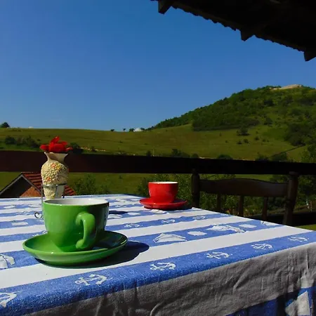 Forest On The Pyramid * Visoko