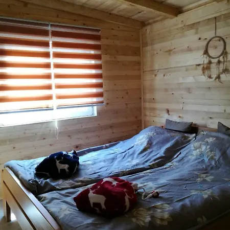 Forest On The Pyramid