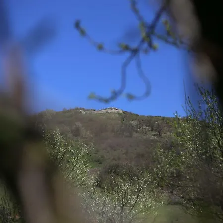 بيت خشبي فوريست لودج أون ذا بيراميد