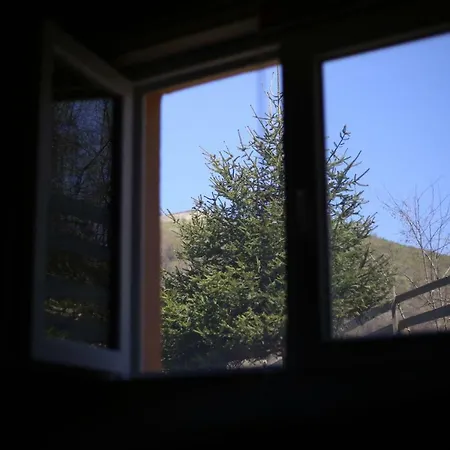 فوريست لودج أون ذا بيراميد فيسوكو