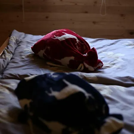 Forest On The Pyramid *