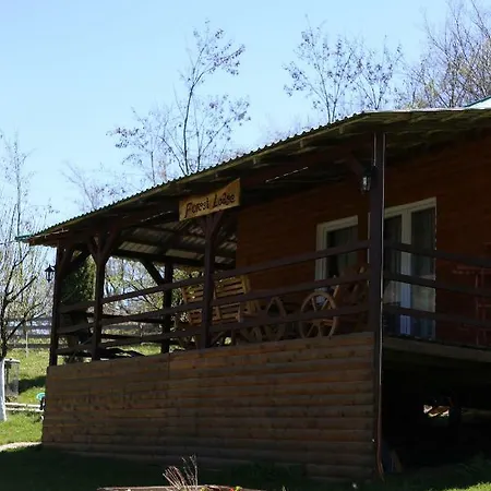 فوريست لودج أون ذا بيراميد بيت خشبي فيسوكو