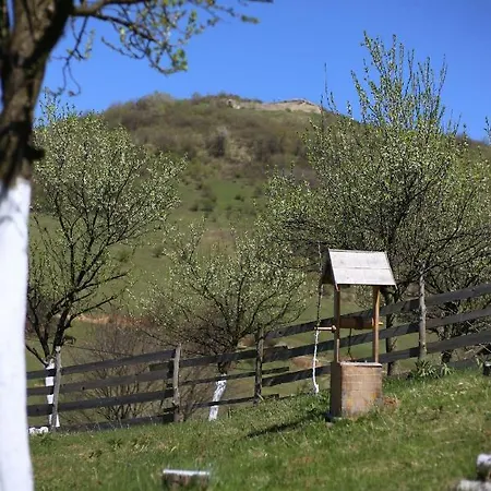 Forest On The Pyramid Lodge Visoko