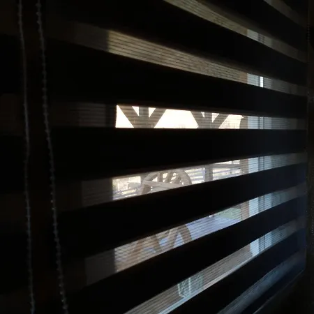 Forest On The Pyramid Visoko